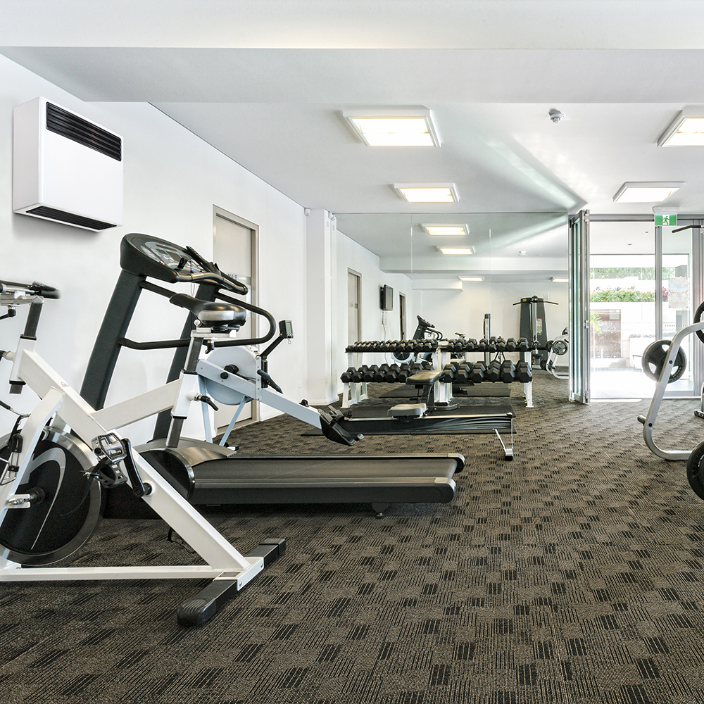 Trotec DS 30 – swimming pool dehumidifier